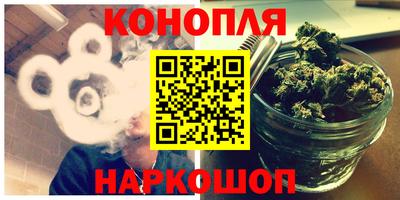 гидра Будённовск