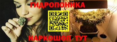 тгк Котовск