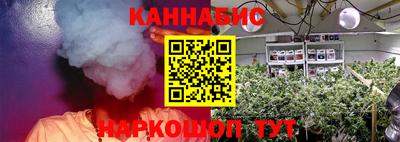 гидра Будённовск